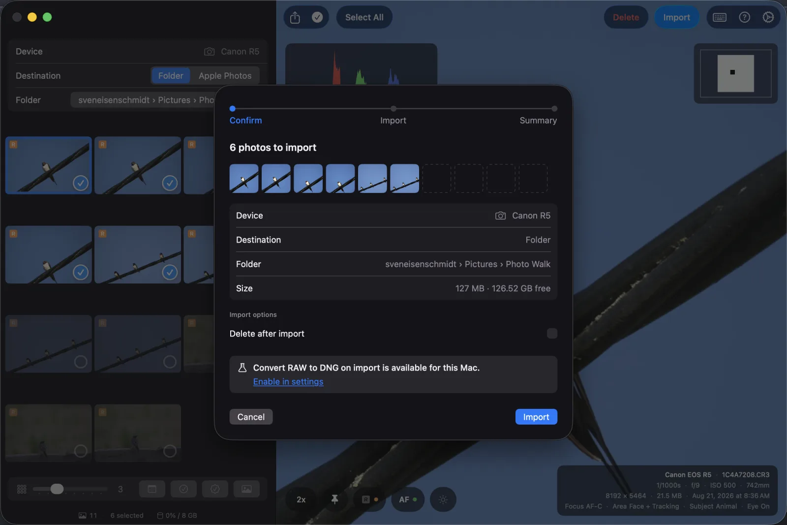 Importing the selected photos