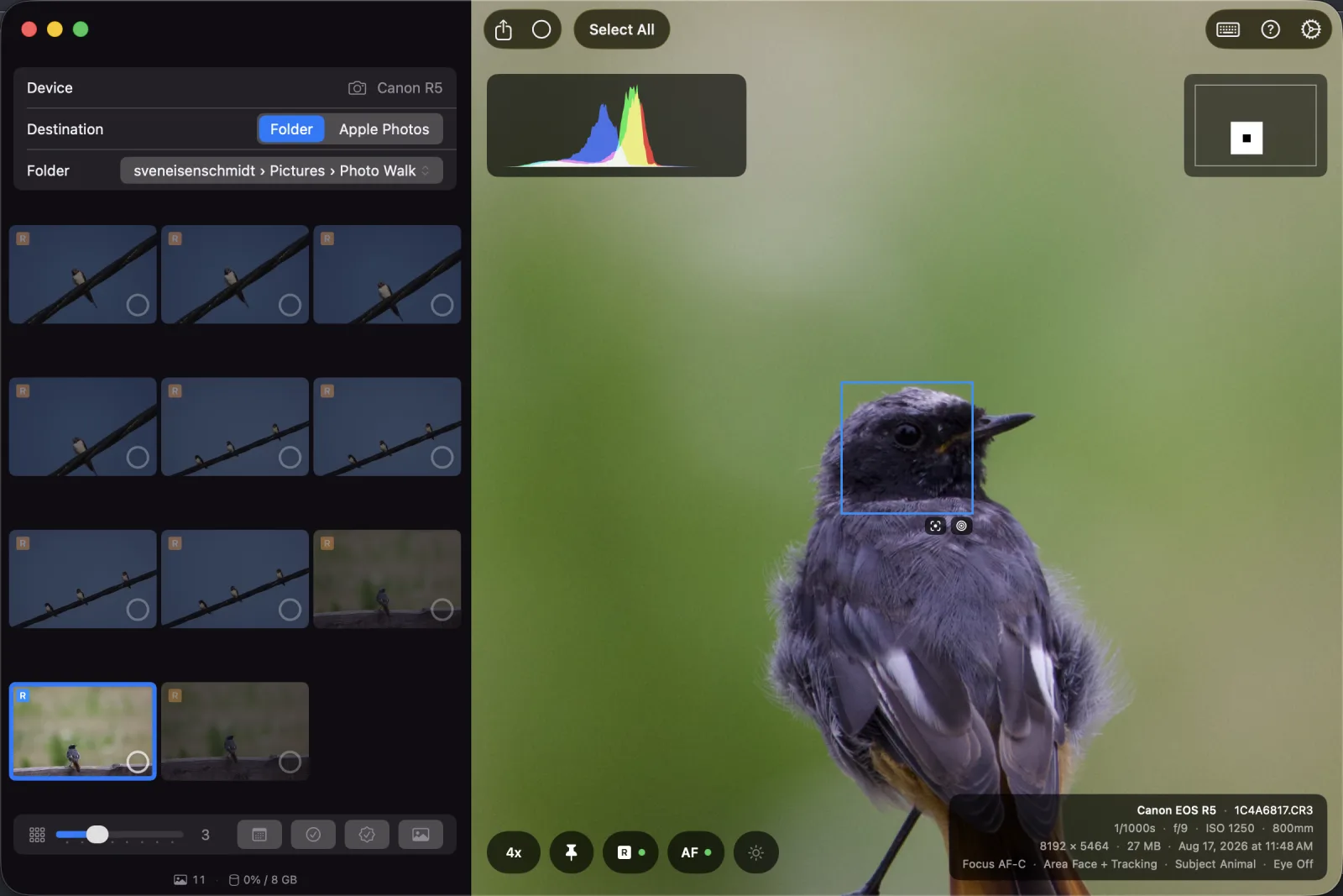 Full-size preview with the autofocus overlay